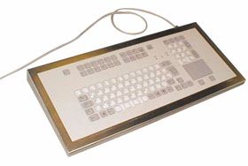 iKEY100