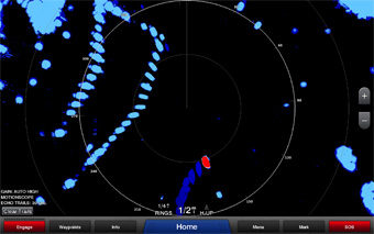 Garmin GMR Fantom 4