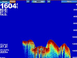 Module sondeur Garmin GSD 24