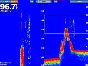 Module sondeur Garmin GSD 24