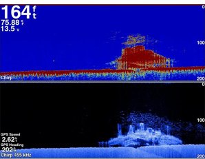 Module sondeur Garmin GSD 25