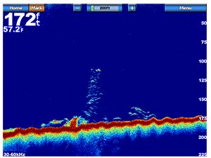 Module sondeur Garmin GSD 26