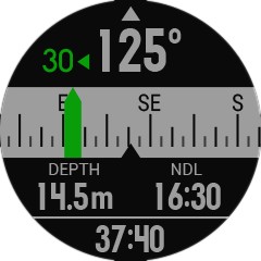 Garmin Descent Mk1 Garmin Descent Mk1