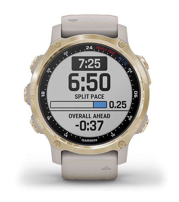 Garmin Descent Mk2S