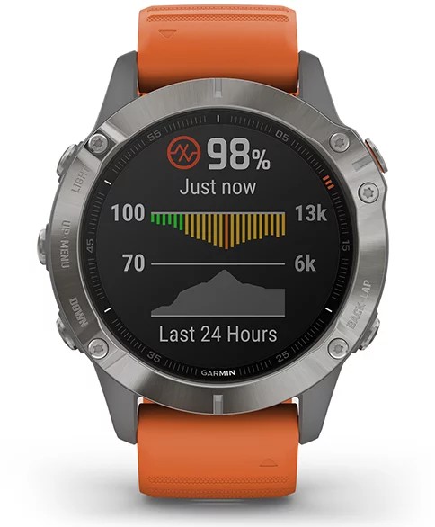 Garmin fenix 6