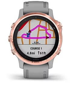 Garmin fenix 6s