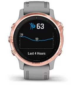 Garmin fenix 6s