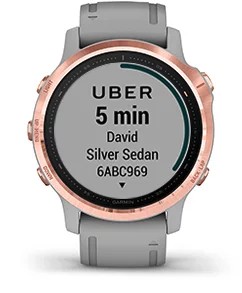 Garmin fenix 6s