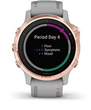 Garmin fenix 6s