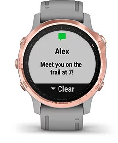 Garmin fenix 6s