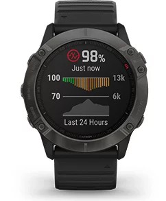 Garmin fenix 6s