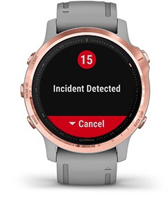 Garmin fenix 6s