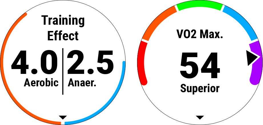 Garmin Forerunner 245