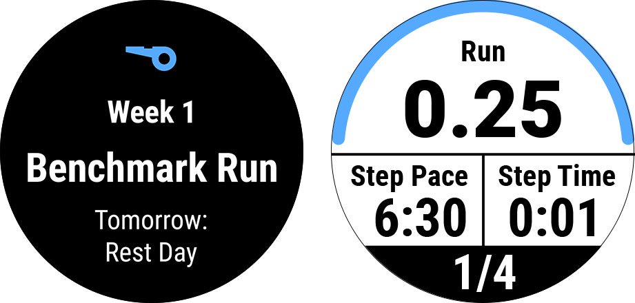 Garmin Forerunner 245