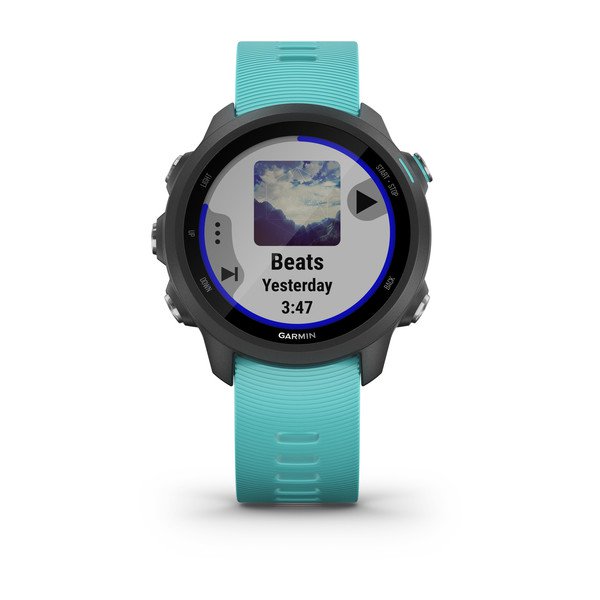 Garmin Forerunner 45 245 945