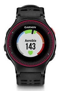 GPS Garmin Forerunner 225