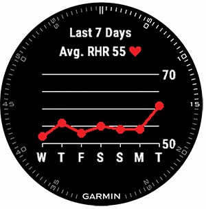 Montre GPS Garmin fenix 3 Sapphire HR