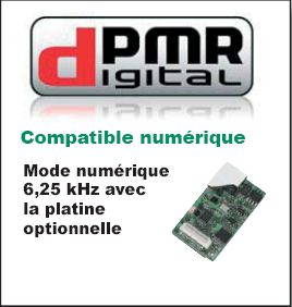 dpmr